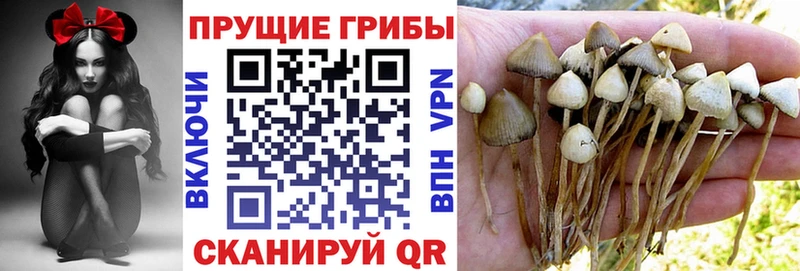 Галлюциногенные грибы GOLDEN TEACHER  мега зеркало  Карталы  продажа наркотиков 
